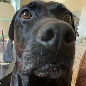 Meet your Posher, Caitlin